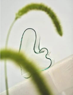 Iittala Bol Aalto, 262 x 50 mm, Clear 1937 -Magasin De Rénovation Domiciliaire 1066200 iittalaemea 04 iittala alvar aalto collection bowl 262x50mm clear 1937