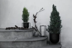 By Lassen Pot De Fleurs Kubus 23, Noir -Magasin De Rénovation Domiciliaire 132C1 IMGL9991