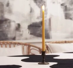 Collaboratorio 6 bougies Candela, 31 cm, Miel 8 Collaboratorio 6 bougies Candela, 31 cm, Miel -Magasin De Rénovation Domiciliaire 2022 Collaboratorio 31cm 2 1