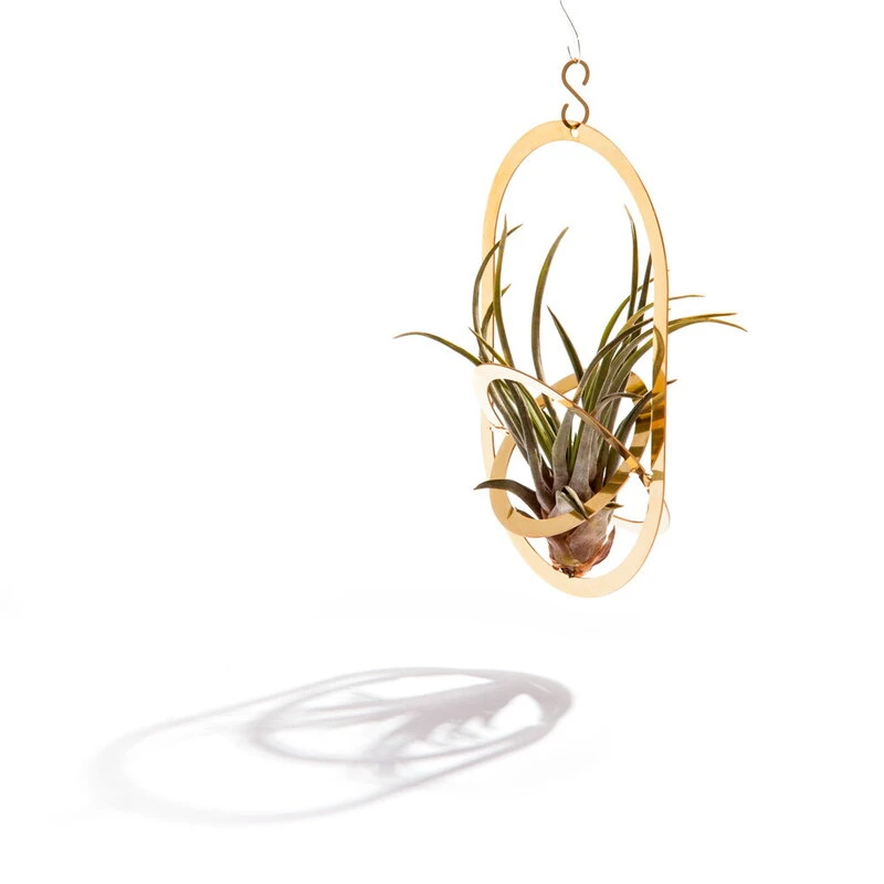 Fundamental Berlin Porte-plantes Air Pendant, Laiton 4 Fundamental Berlin Porte-plantes Air Pendant, Laiton – Image 2