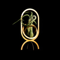 Fundamental Berlin Porte-plantes Air Trophy, Laiton -Magasin De Rénovation Domiciliaire AIR TROPHY black