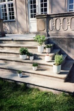 &Tradition Pot De Fleurs Collect SC69, 12 X 13 cm, Sauge -Magasin De Rénovation Domiciliaire ATD 2022 Outdoor Mero Collect Palnter SC69 SC72 Lucca SC51 1