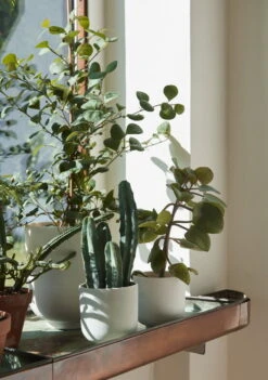 &Tradition Pot De Fleurs Collect SC71, 24 x 18 cm, Lait -Magasin De Rénovation Domiciliaire ATD Retail 2022 Collect Planter SC69 SC72