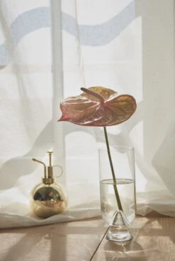 AYTM Brumisateur Pour Plantes Globe, Doré -Magasin De Rénovation Domiciliaire AYTM D2 08 269