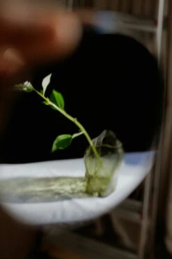 New Works Petit Vase Blæhr, Vert Fumé -Magasin De Rénovation Domiciliaire Blaehr Vase Digital Images Shot by Armin Tehrani 15