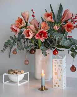 Iittala Coffret De 5 boules En Verre, 40 mm, Rouge -Magasin De Rénovation Domiciliaire Christmas Mood 12