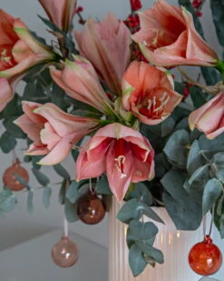 Iittala Coffret De 5 boules En Verre, 40 mm, Rouge -Magasin De Rénovation Domiciliaire Christmas Mood 13