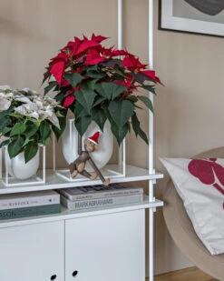 By Lassen Pot De Fleurs Kubus 14, Blanc -Magasin De Rénovation Domiciliaire Christmas Mood 2