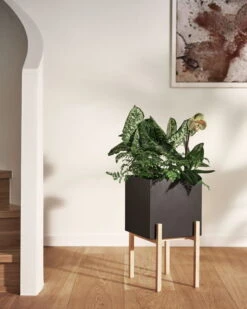 Design House Stockholm Pot Botanic Pedestal 11 Design House Stockholm Pot Botanic Pedestal -Magasin De Rénovation Domiciliaire DHS lifestyleimage 11