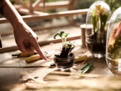 Design House Stockholm Mini Serre Grow, S 9 Design House Stockholm Mini Serre Grow, S -Magasin De Rénovation Domiciliaire DHS lifestyleimage 17