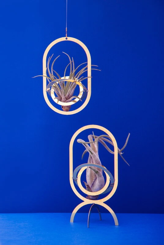 Fundamental Berlin Porte-plantes Air Pendant, Laiton 6 Fundamental Berlin Porte-plantes Air Pendant, Laiton – Image 4