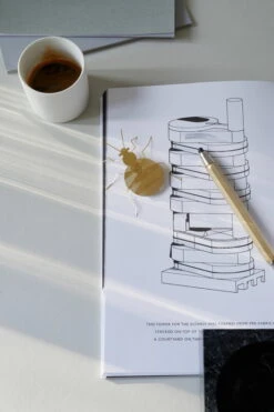 Fundamental Berlin Ornement Flatmates, Punaise, Laiton 11 Fundamental Berlin Ornement Flatmates, Punaise, Laiton -Magasin De Rénovation Domiciliaire Flatmate Bedbug