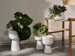 Iittala 2 bulles D’arrosage Iittala -Magasin De Rénovation Domiciliaire Iittala 2021 Nappula 05