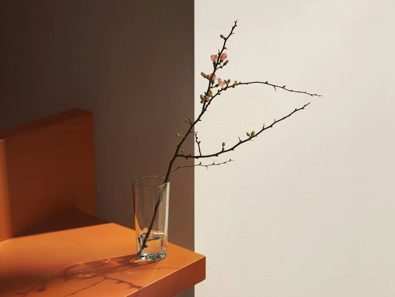 Iittala Vase Aalto, 180 mm, Transparent 4 Iittala Vase Aalto, 180 mm, Transparent – Image 2