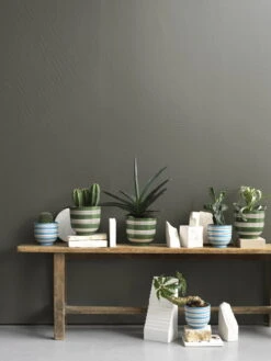 Kähler Pot De Fleurs Omaggio Nuovo, 12 cm, Bleu 10 Kähler Pot De Fleurs Omaggio Nuovo, 12 cm, Bleu -Magasin De Rénovation Domiciliaire KAH 690161 690165 Omaggio Nouvo Six flowerpots w plants in atalier