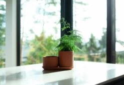 Elementa Pot De Fleurs, Modèle Moyen, Terracotta -Magasin De Rénovation Domiciliaire KLset1 1800