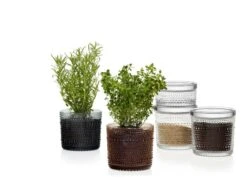 Iittala Pot Kastehelmi 116 X 114 mm, Transparent -Magasin De Rénovation Domiciliaire Kastehelmijargreydesertcleargroup 2 1