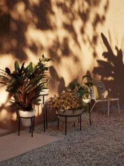 MENU Jardinière Daiza, 35 x 25 cm, Ivoire -Magasin De Rénovation Domiciliaire MENU LS Daiza Planters WM String Lounge Chair