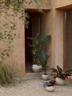 MENU Jardinière Plantas, 24 cm, Ivoire -Magasin De Rénovation Domiciliaire MENU LS Plantas Planters