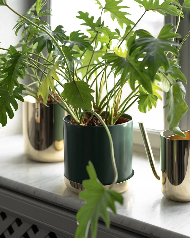 Skultuna Arrosoir Nurture, Laiton 8 Skultuna Arrosoir Nurture, Laiton – Image 6