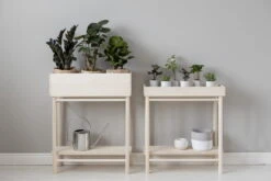 Verso Design Taimi Plant Tray -Magasin De Rénovation Domiciliaire TAIMI Plant Box Plant Tray