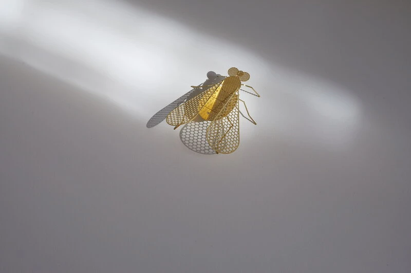 Fundamental Berlin Ornement Flatmates, Mouche, Laiton 5 Fundamental Berlin Ornement Flatmates, Mouche, Laiton – Image 3