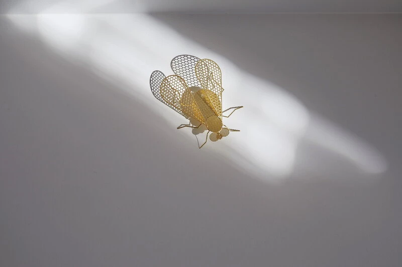 Fundamental Berlin Ornement Flatmates, Mouche, Laiton 4 Fundamental Berlin Ornement Flatmates, Mouche, Laiton – Image 2