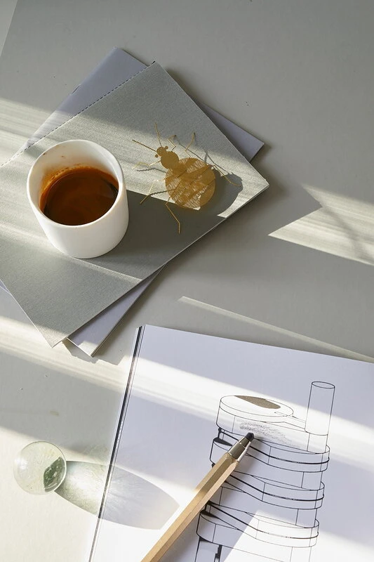 Fundamental Berlin Ornement Flatmates, Punaise, Laiton 5 Fundamental Berlin Ornement Flatmates, Punaise, Laiton – Image 3