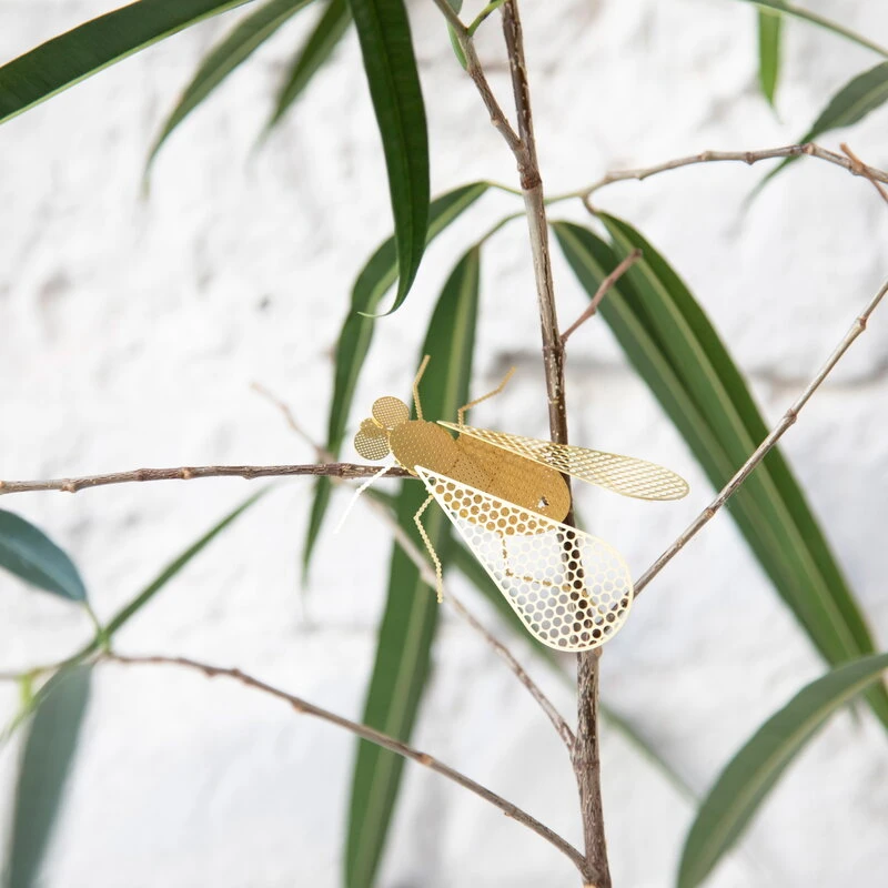 Fundamental Berlin Ornement Flatmates, Mouche, Laiton 8 Fundamental Berlin Ornement Flatmates, Mouche, Laiton – Image 6