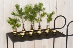 Klong Bougeoir Pour Bougie Chauffe-plat Constella, Laiton -Magasin De Rénovation Domiciliaire julius constella inspiration noresize