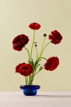 Nedre Foss Bougeoir Pour Bougie Chauffe-plat Sirkel, Bleu Cobalt -Magasin De Rénovation Domiciliaire nI897iHw